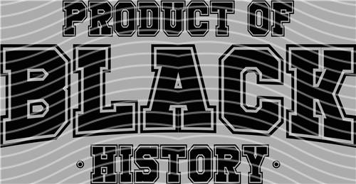 Black History in 1865-LY 225